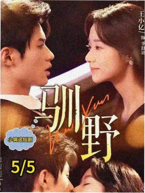 都市现实剧旧城新生剧照